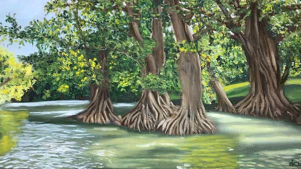 spicewood-arts-featured-artists Spicewood Arts - Featured Artists photo